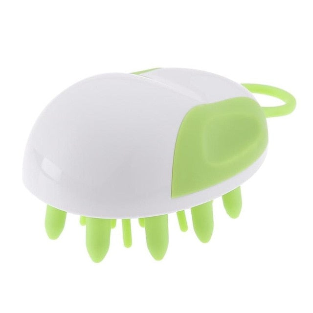 Massage Hair Brush